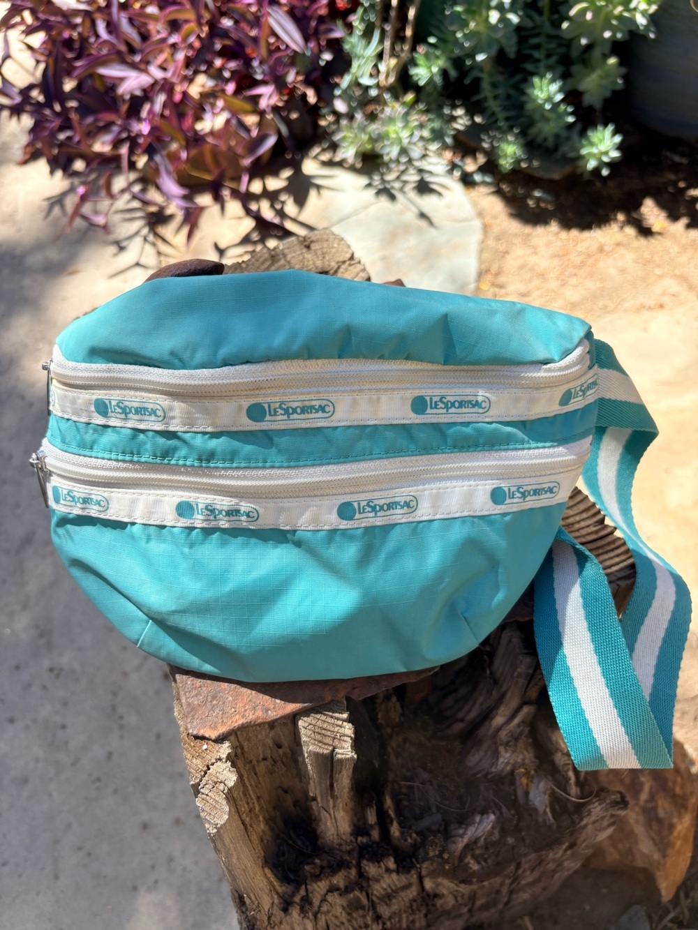 LeSportsac Teal and White Striped Waist Bag
